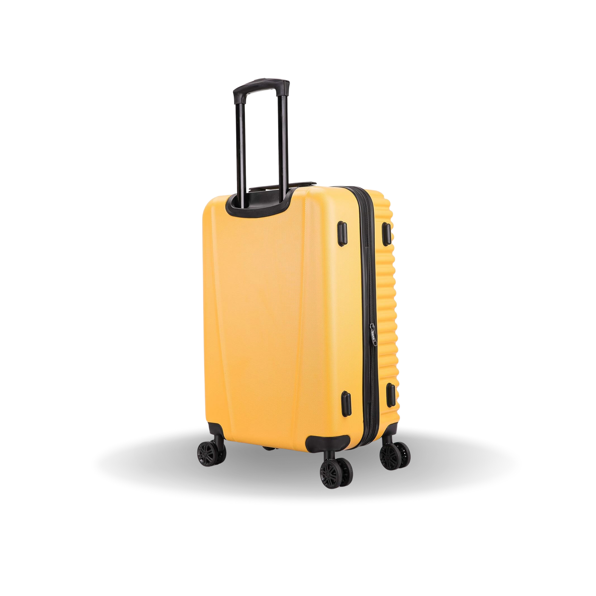Ally Medium 24"
