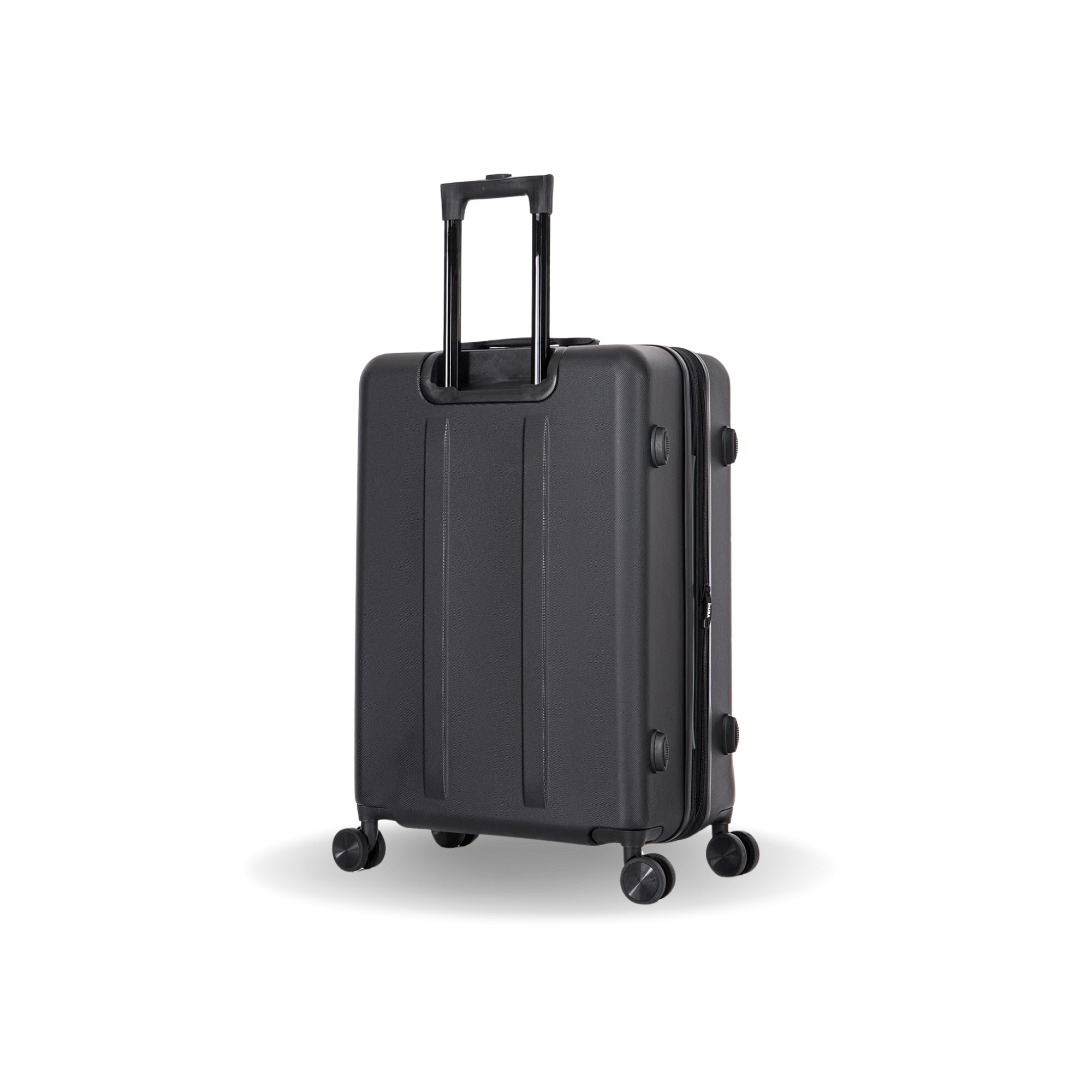 Elysian Medium 24"