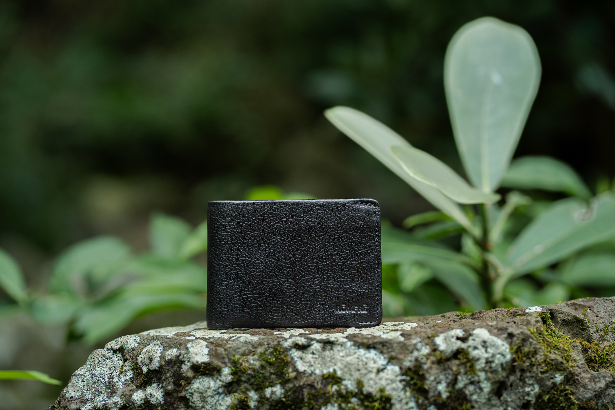 Kailua Bifold