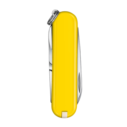 Victorinox Classic SD Swiss Army Knife, 58mm