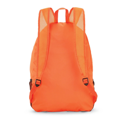 Foldable Backpack