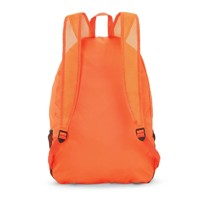 Foldable Backpack