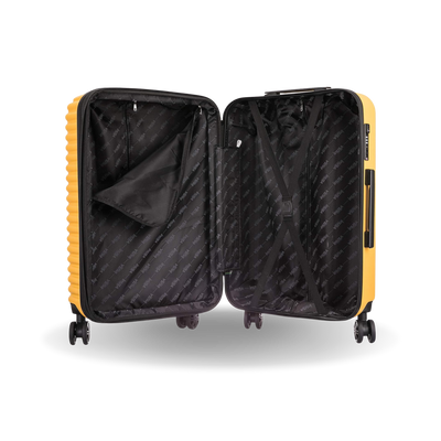 Ally Carry On 20"