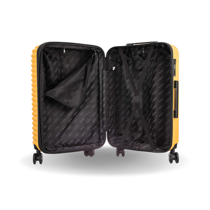 Ally Carry On 20"