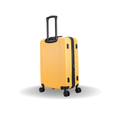 Ally Medium 24"