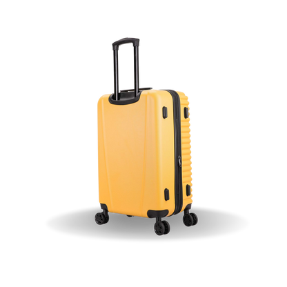 Ally Medium 24"