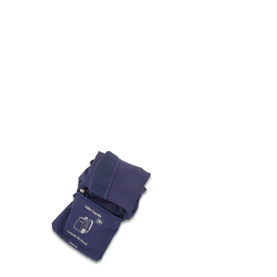 Foldable Backpack