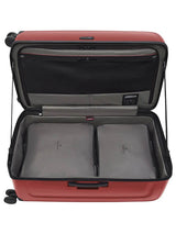 Spectra 3.0 Trunk Large Case 30"