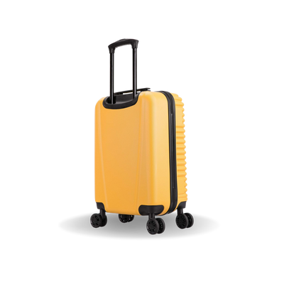 Ally Carry On 20"