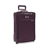 Baseline Essential 2-Wheel Carry-On 22"