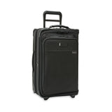 Baseline Carry-On Upright Garment Bag 22"