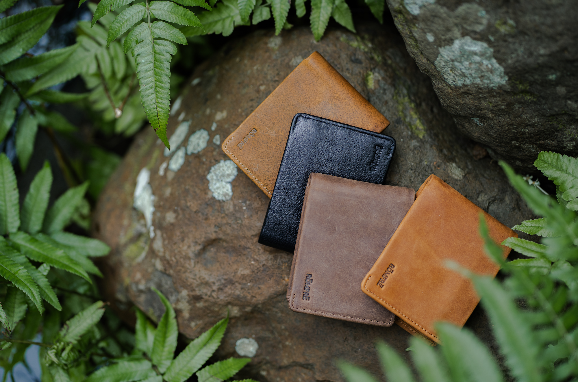 Kailua Bifold