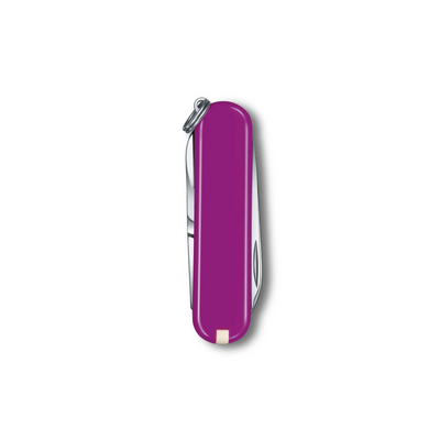 Victorinox Swiss Army Everyday Classic SD Pocket Knife-Multi-Tool
