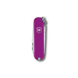 Swiss Army Everyday Classic SD Pocket Knife-Multi-Tool