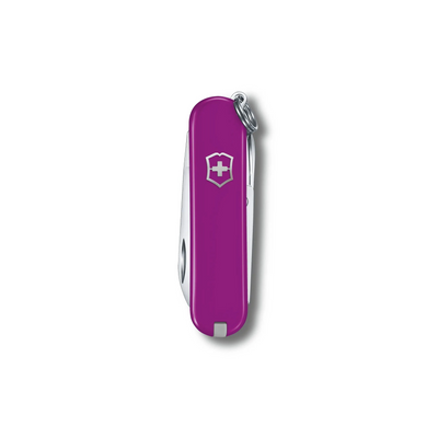 Victorinox Swiss Army Everyday Classic SD Pocket Knife-Multi-Tool