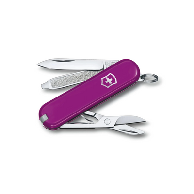 Victorinox Swiss Army Everyday Classic SD Pocket Knife-Multi-Tool