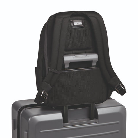 PD Roadster Backpack Medium - Voyage Luggage