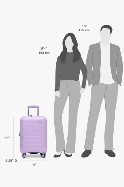 Pagosa 2-Piece Luggage Set