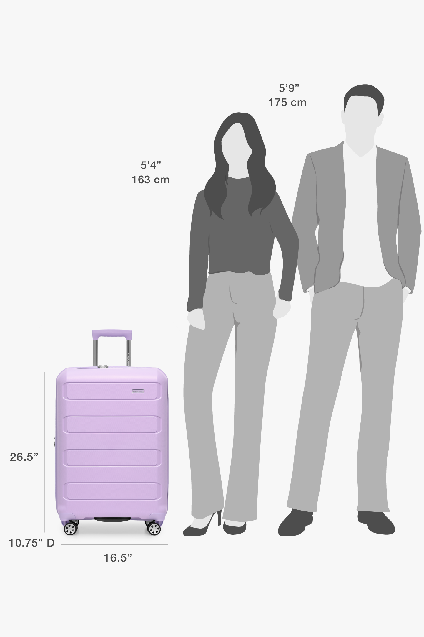 Pagosa 2-Piece Luggage Set