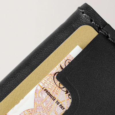 Carl Friedrik Heritage The Cardprotector