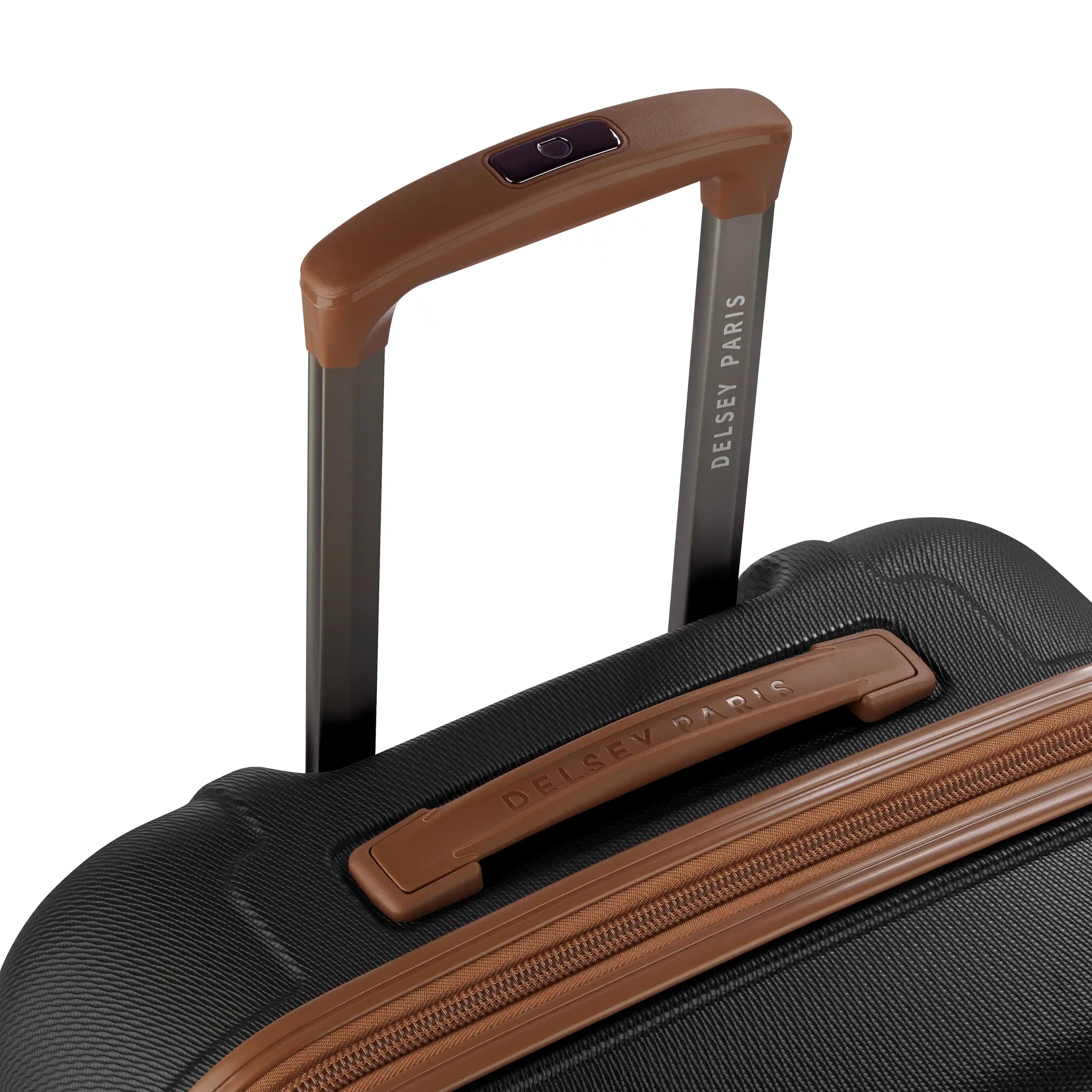 Delsey Flanerie Se Medium Spinner 24"